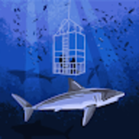 Meet your Posher, Ryan - Picture 1 of 1